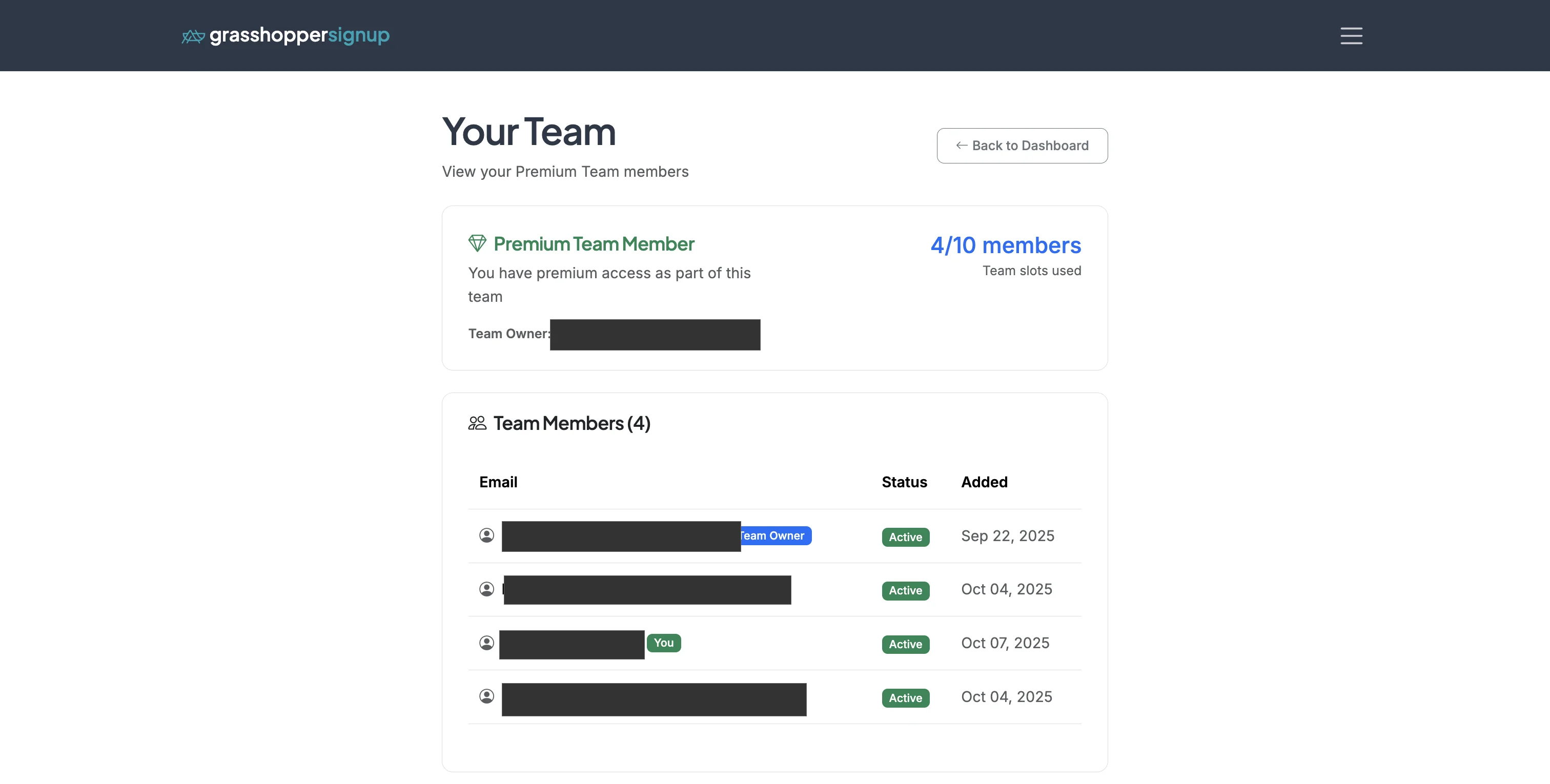 Screenshot showing View Team will show you the current team members.