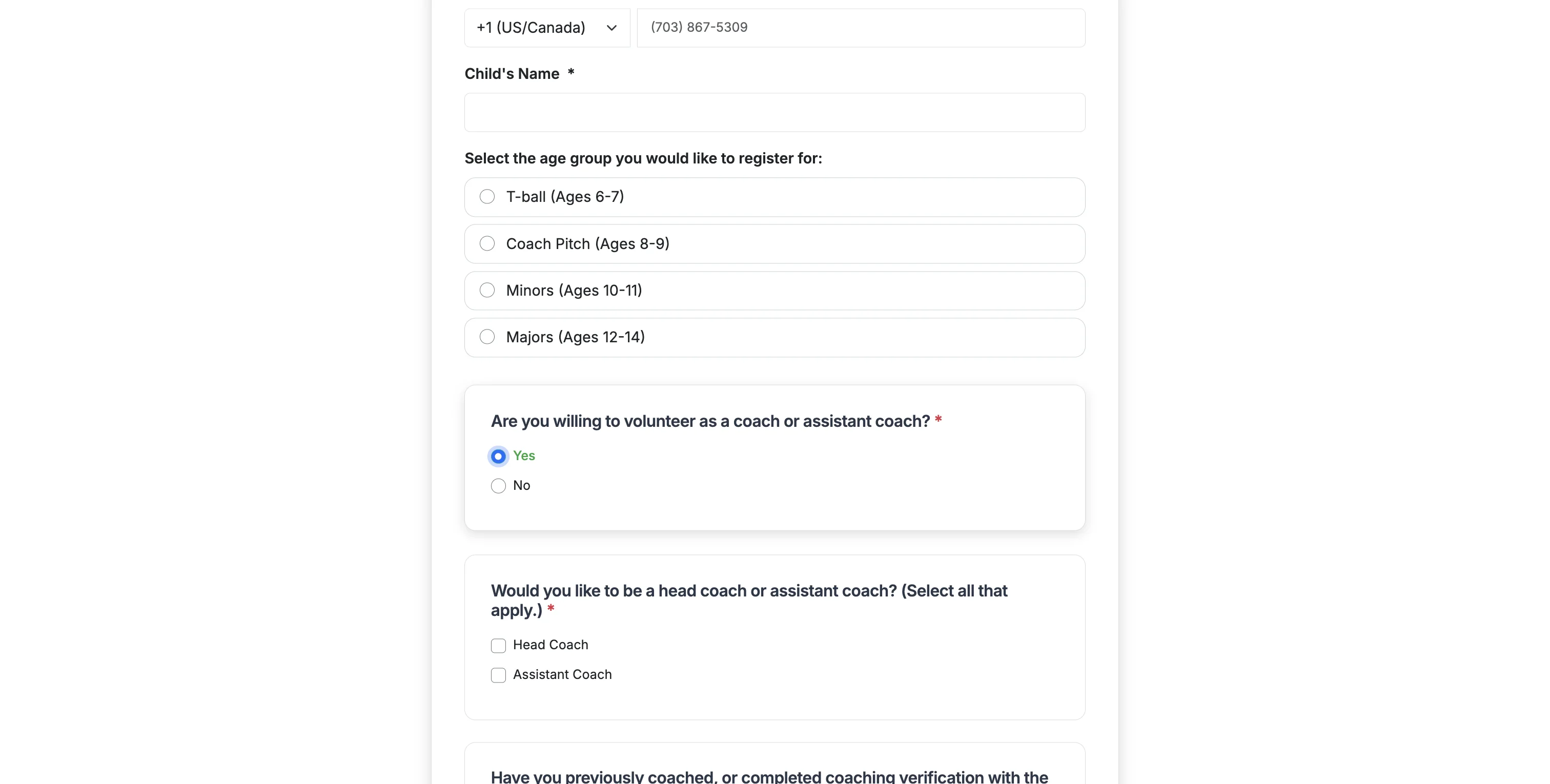 Screenshot showing Click on input