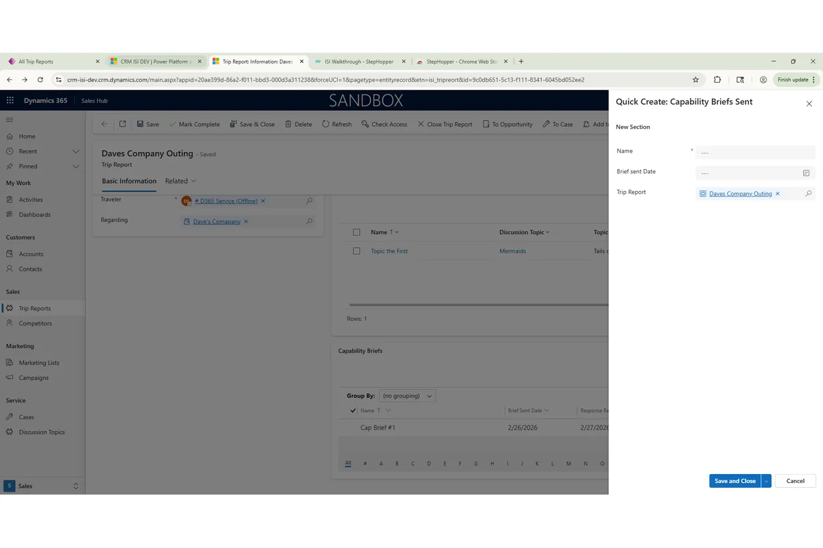 Screenshot showing Name the Capability Brief